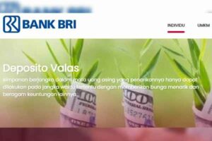 Deposito BRI Terbaru 2021 : Minimal, Syarat & Bunga | Bankir