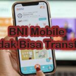 BNI Mobile Tidak Bisa Transfer Penyebab Cara Mengatasi