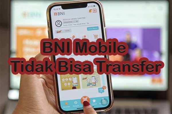 BNI Mobile Tidak Bisa Transfer Penyebab Cara Mengatasi